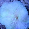 20121213 215856