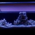 Display Tank 0032