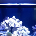 photo1