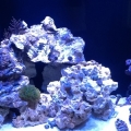 photo2
