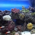 Baa bye 40b! Hello 72 bow front
