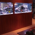 500 gallon