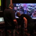 home show 2011