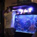 home show 2011