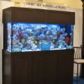 home show 2011