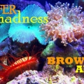ReeferMadnessAle