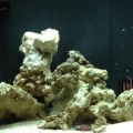 Added a couple more small rocks and a small but effective CuC