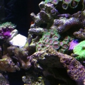 Side view of tank
