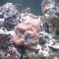20131206 171306