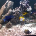 20131206 171418