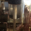 My LFS gave me a great idea to add 1/2 PVC instead of the small tube this TLF550 comes with. I wasn't getting enough flow and tumble for my biopellets. Well I did it and it works flawless now. Thanks to John at FAOIS for giving me something to mod.