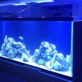 IMG 4973[1]