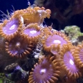 15903