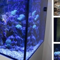 Tank Details