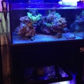 Neo Nano Aquarium