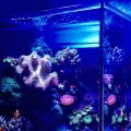 Nano Cube