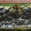 My nasty tank
