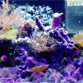 Pisces23's 20H nano...