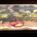 my 125 gal