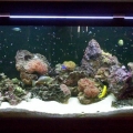 Before new rock