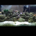 the final rock placement
