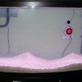 new set up