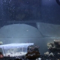 FTS