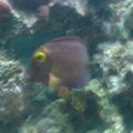 DSC01279