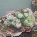 P9270159