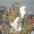 P9270161