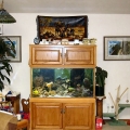 OmarD Tank 2007
