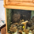 OmarD Tank 2007