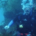 Bali - Menjangen Island  2007