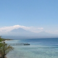 Bali - Menjangen Island  2007