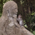Bali - Monkey Forest 2007