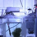 20 Gallon Sump with Refugium