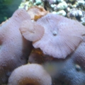 DSC01399