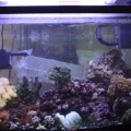 FTS