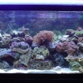 30 Gal