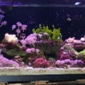 full_resized1