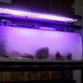 new_tank