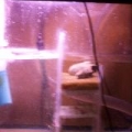 sump2
