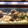 2 Meter Tank