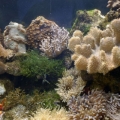 2 Meter Tank