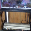 nanotank