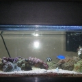 20L