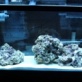2 Weeks Old