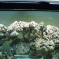 Picture_0011