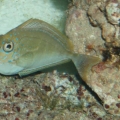 Picture_015