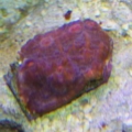 Picture_0951